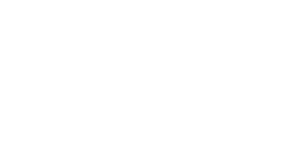 Mr Shou